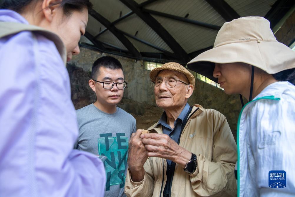 皇冠后备网